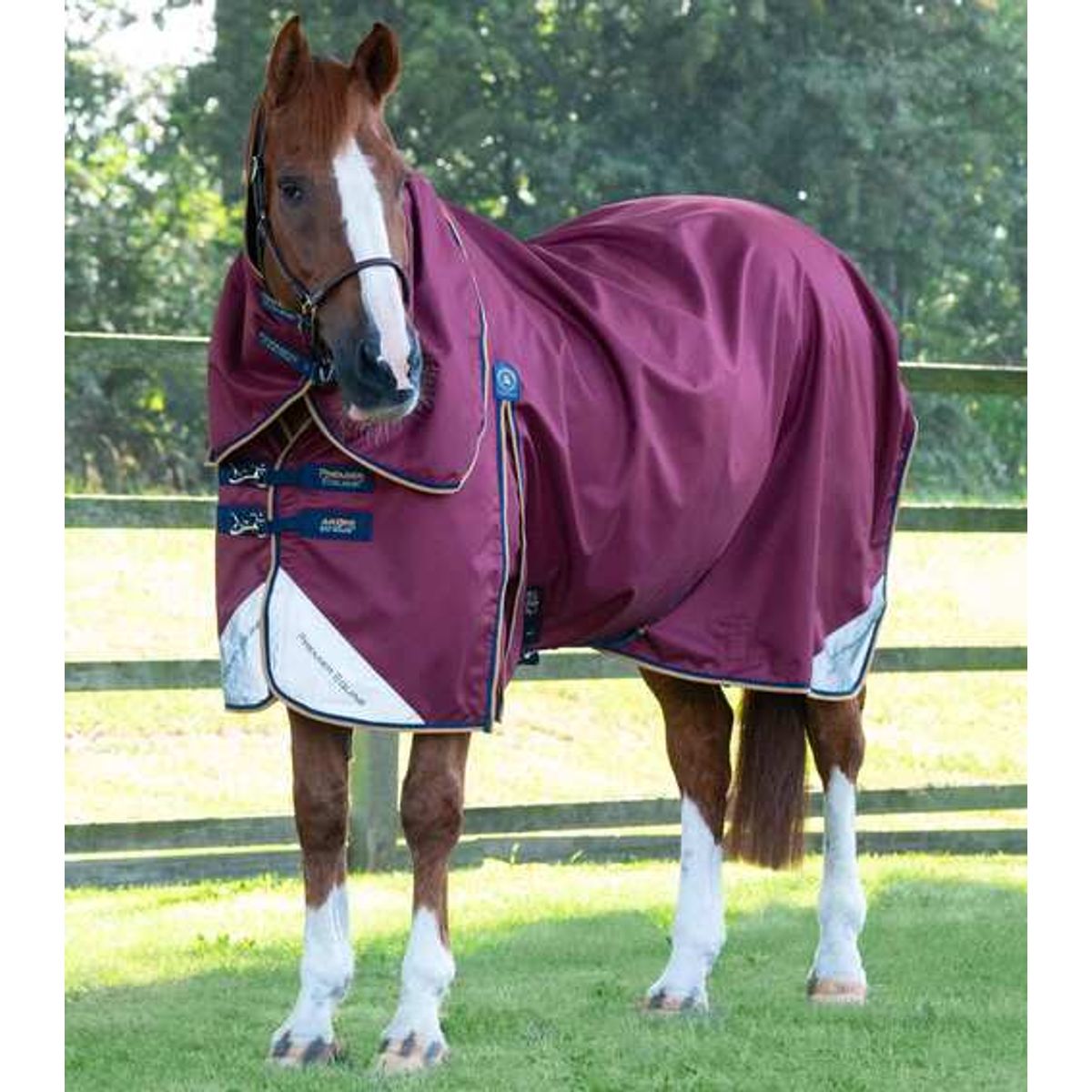 Premier Equine Akoni Stratus dækken med aftagelig hals - 0g - Vinrød, 5,3" (120cm)