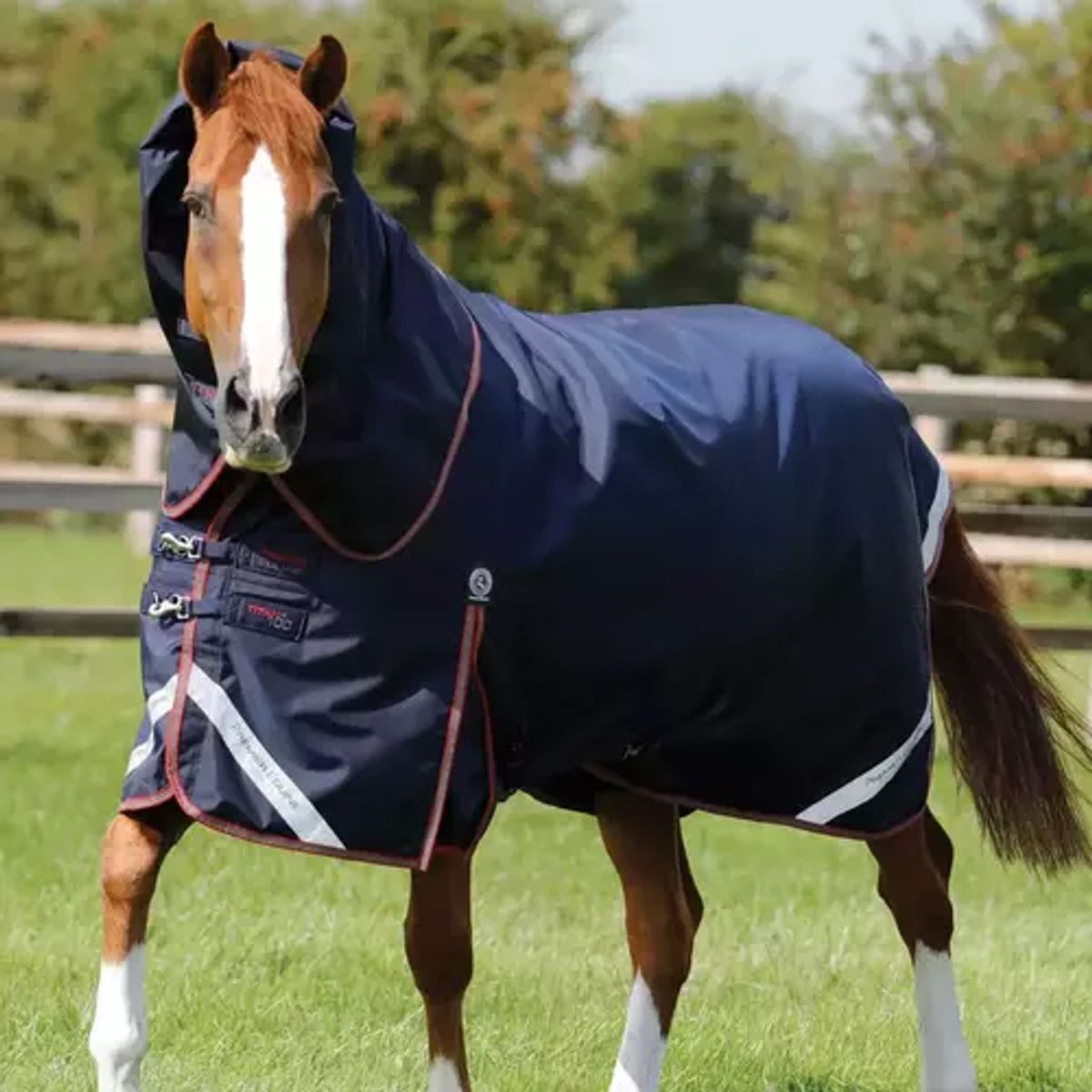 Premier Equine Titan Trio dækken - Navy - 6,3 140cm