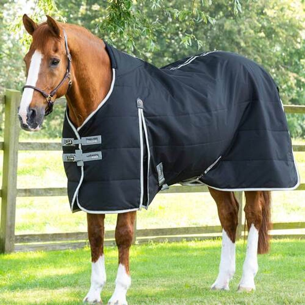 Premier Equine Lucanta Demi stalddækken - 100g - 7,0" (165cm)