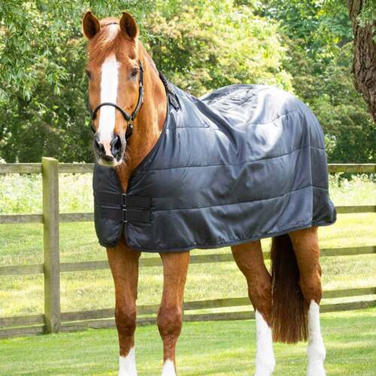 Premier Equine Standard dækken liner - 350g - 6,0 135cm