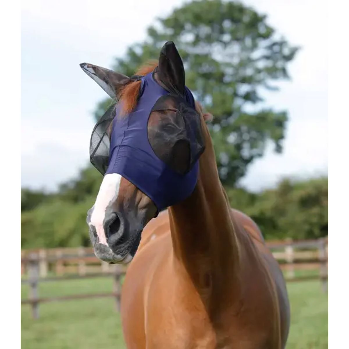 Premier Equine Comfort Lycra insektmaske - Navy - XL