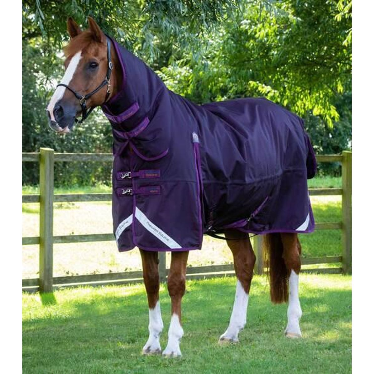 Premier Equine Buster Storm Combo 420g med sømløs hals - Lilla - 7,3" (170cm)