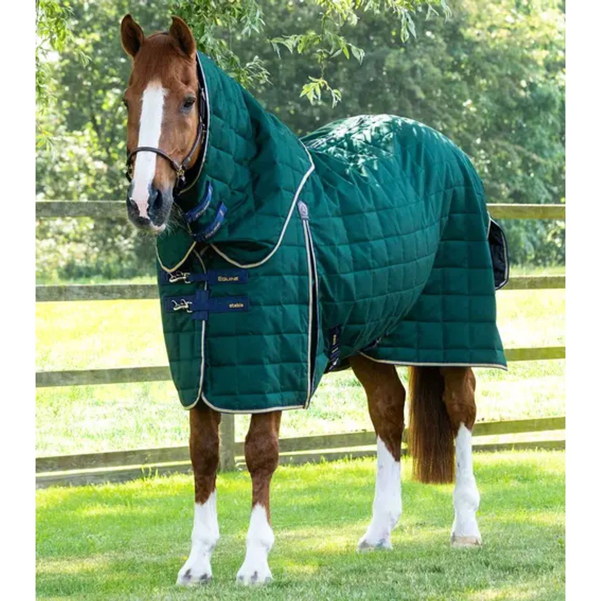 Premier Equine Lucanta 200g stald dækken med hals - Grøn - 6,9 155cm