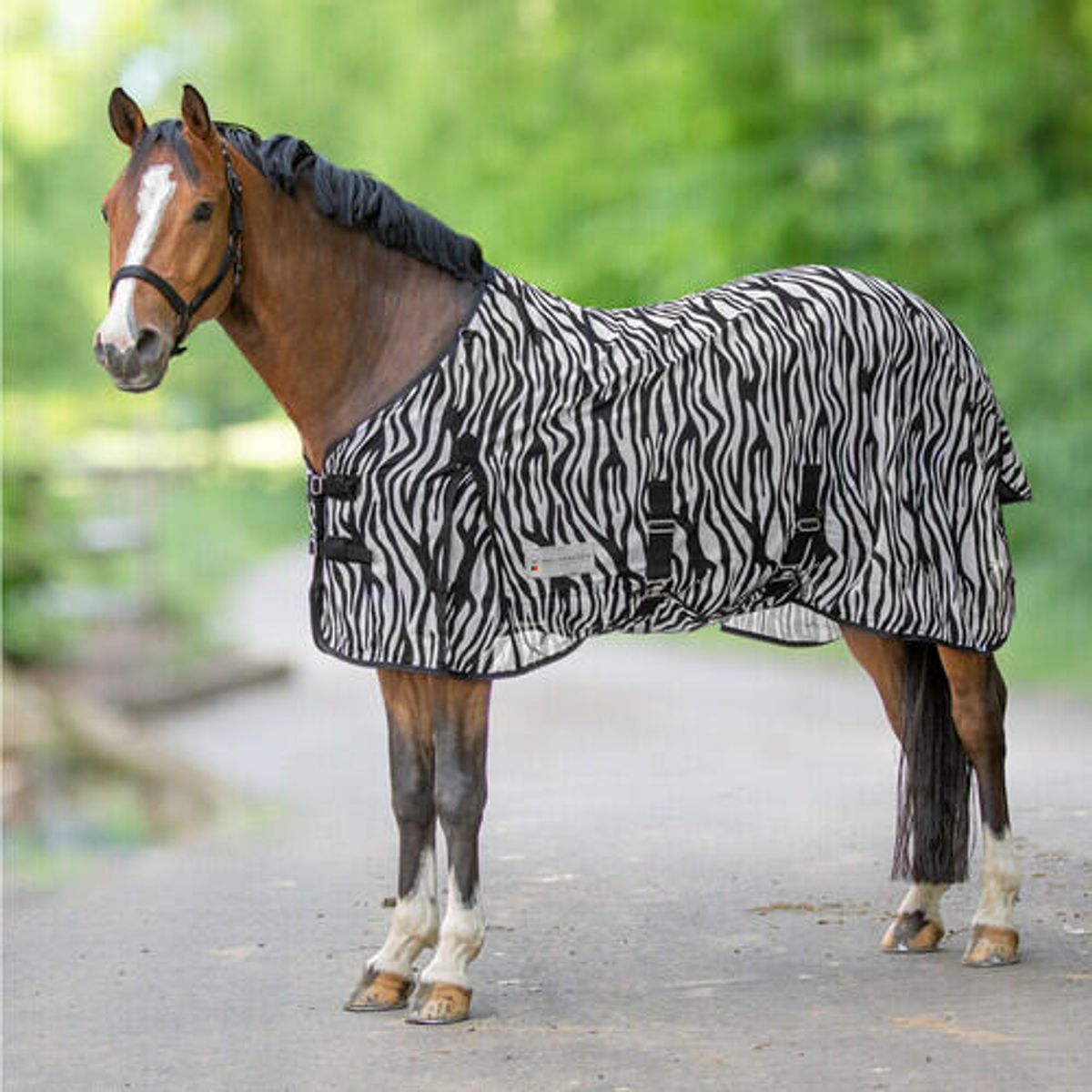 Insektdækken - Zebra - 145cm