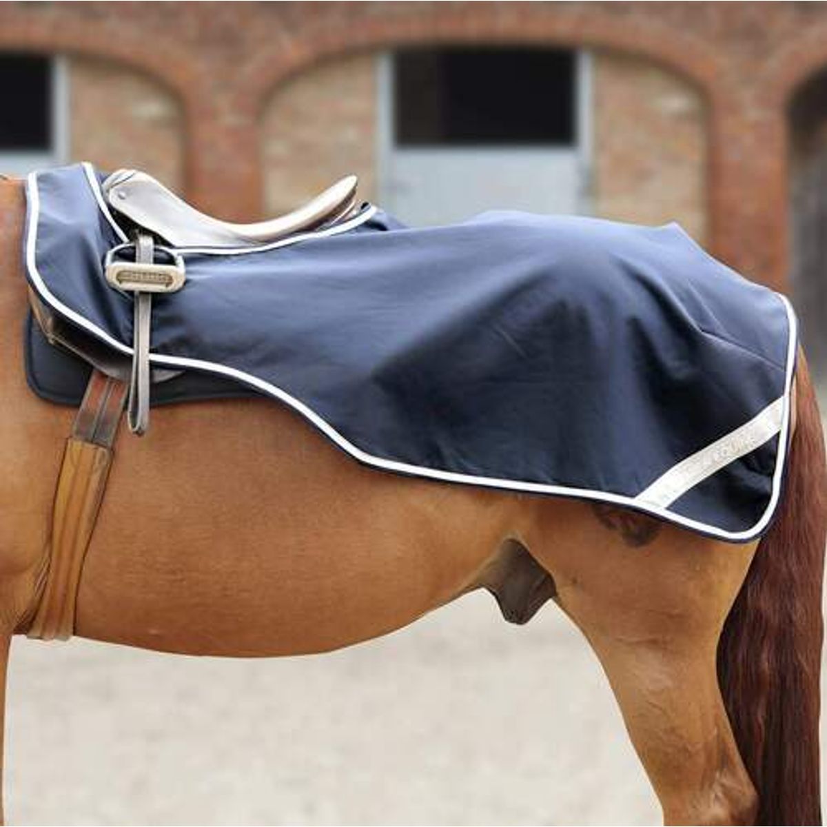 Premier Equine ridedækken - Navy - L