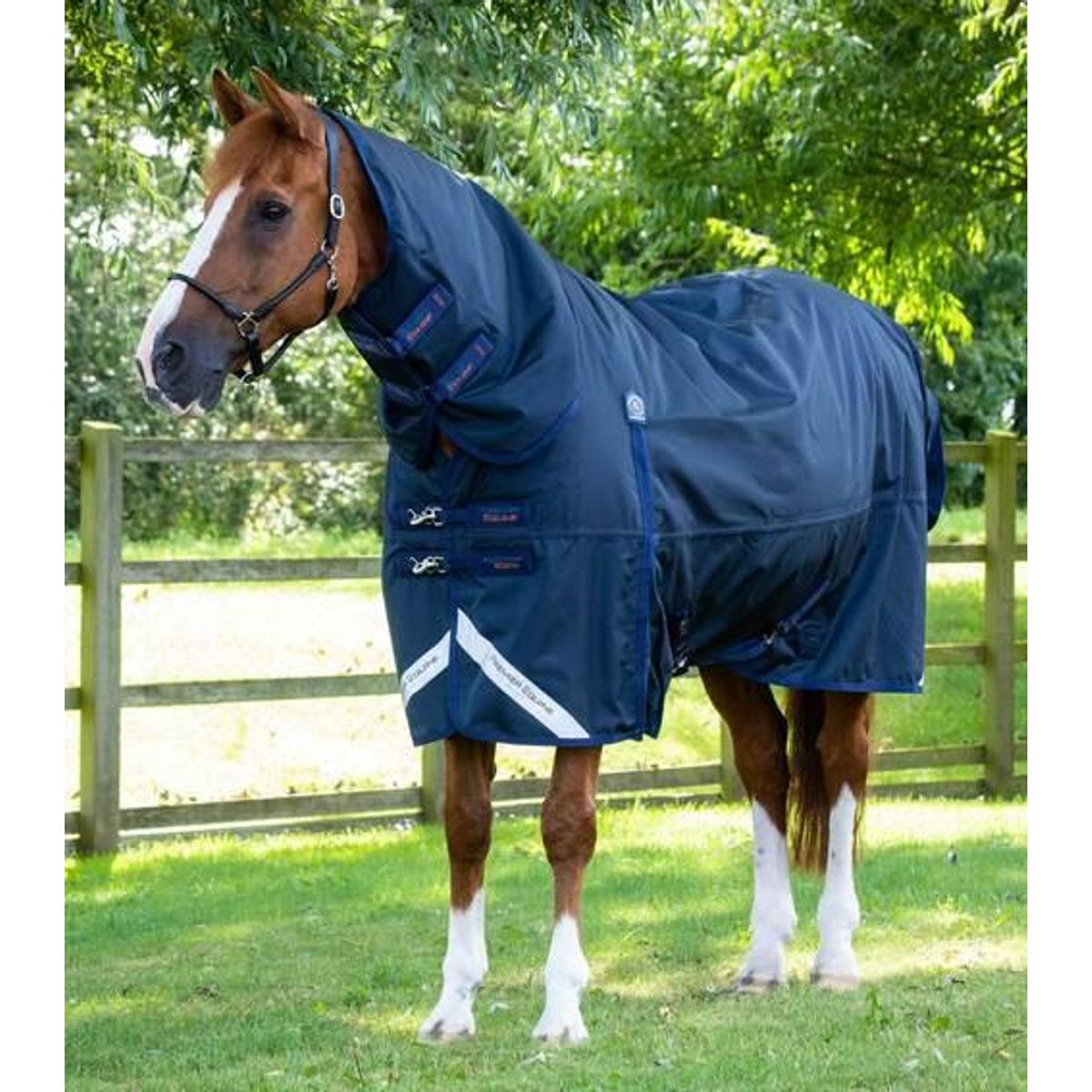 Premier Equine Buster Storm Combo 420g med sømløs hals - Navy - 5,9" (130cm)