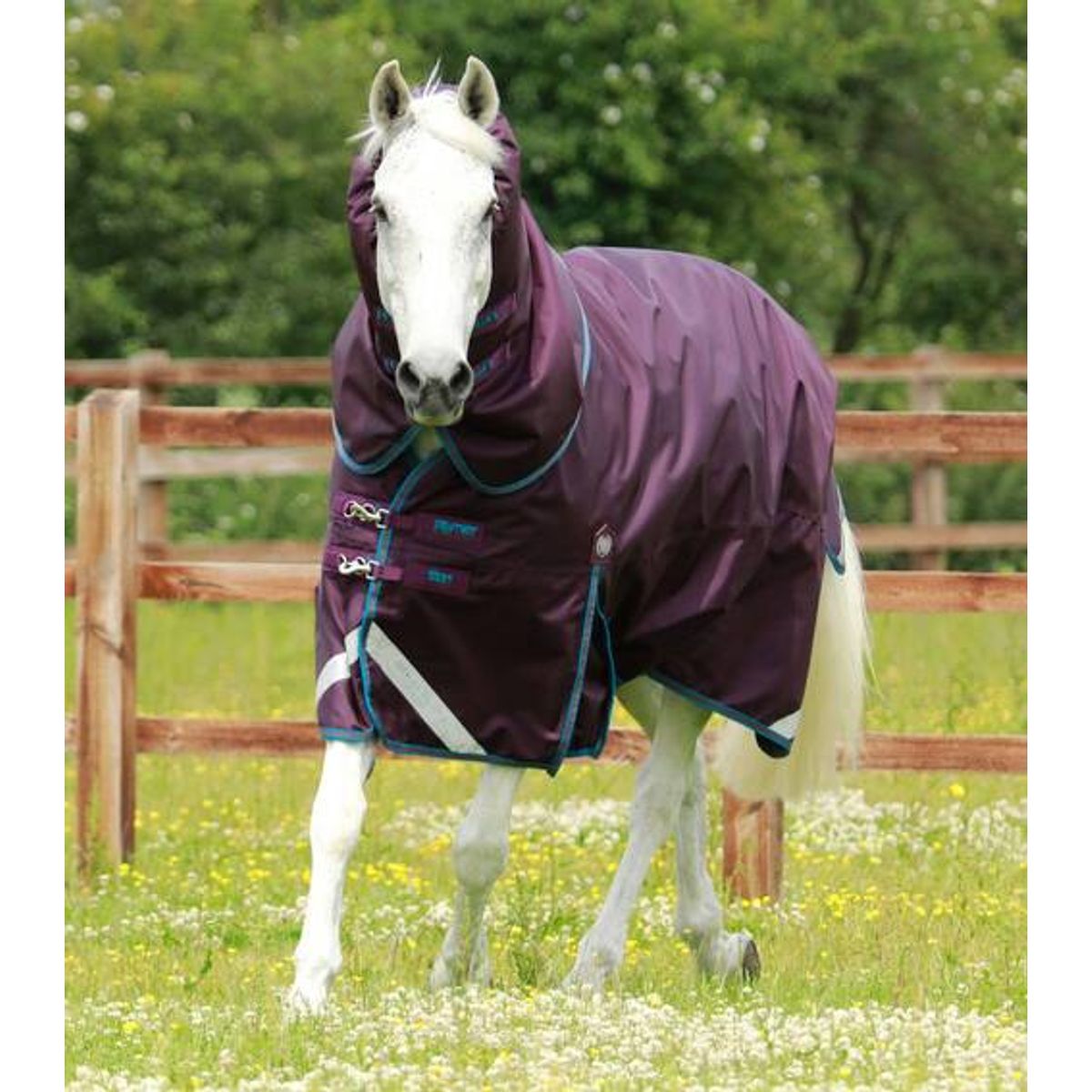 Premier Equine Titan 200g Turnout dækken med Snug-fit hals - Lilla