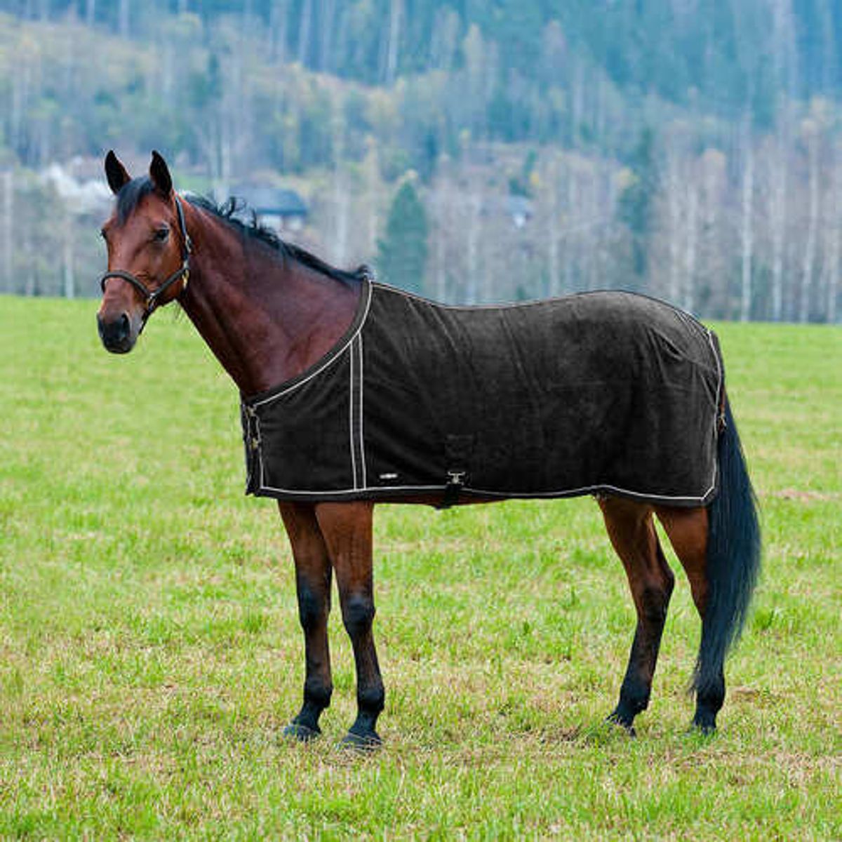 Finntack fleece dækken med netfoer - Sort, 135cm