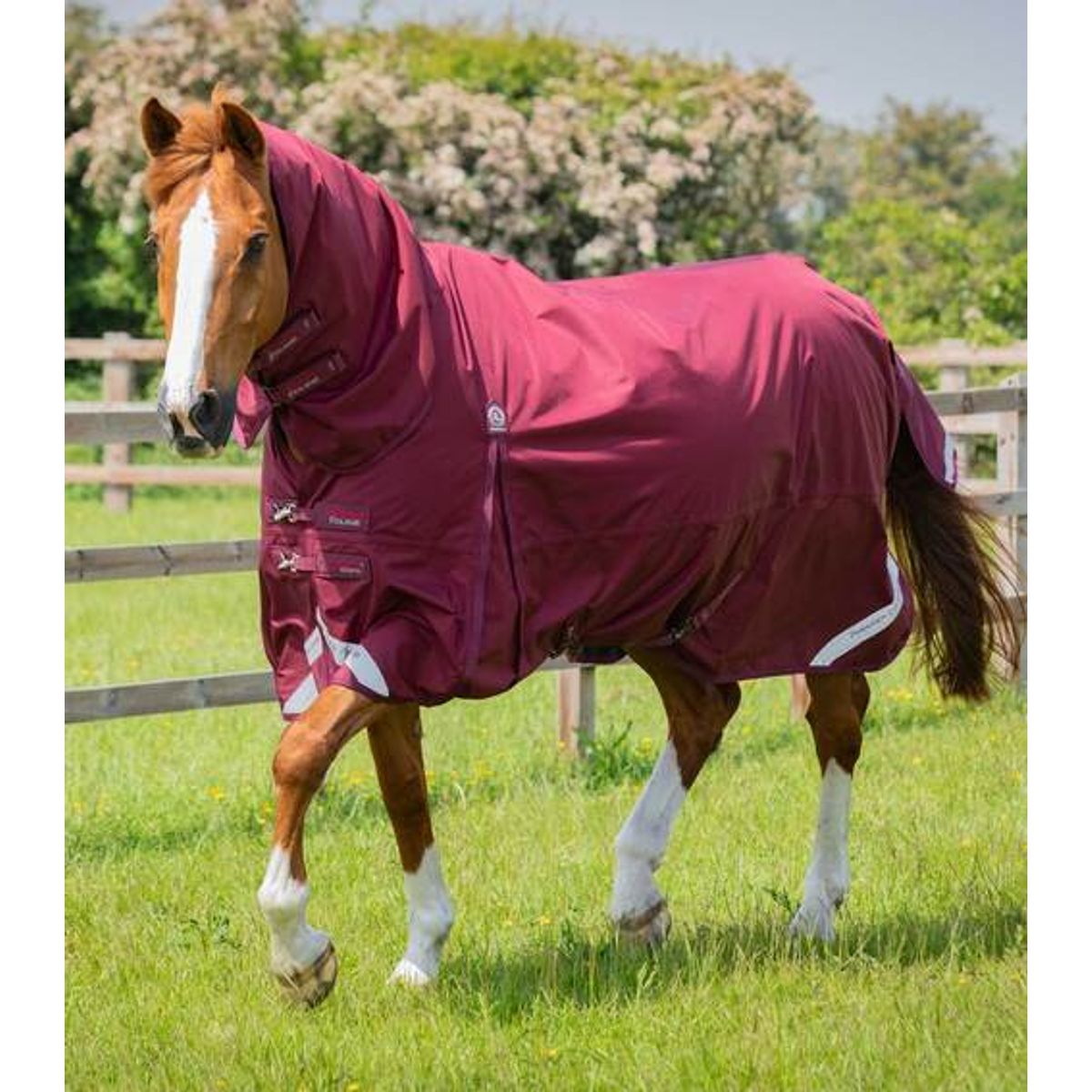 Premier Equine Buster Storm Combo 90g dækken - Burgundy - 6,6" (145cm)