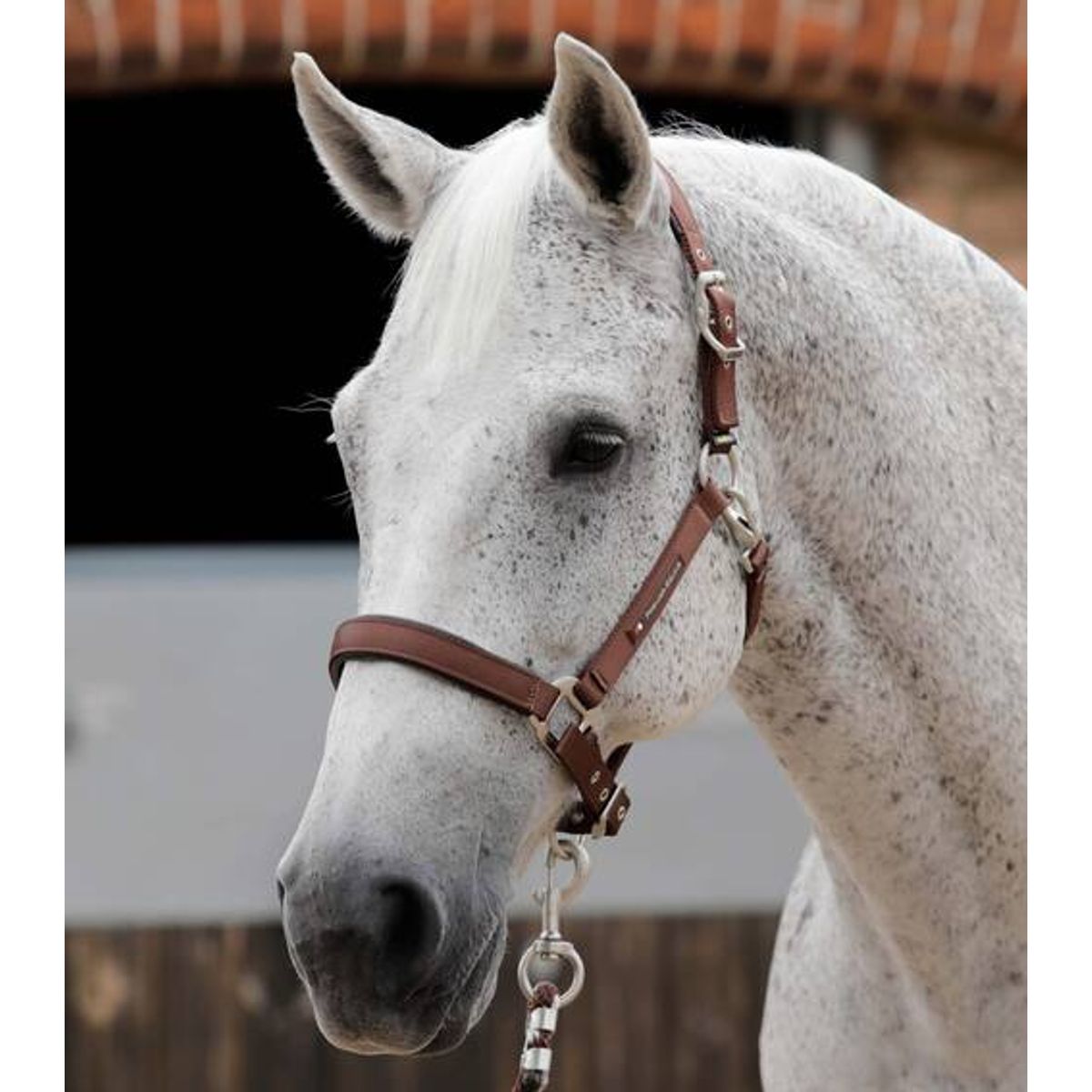 Premier Equine nylongrime med foer - Brun, Cob