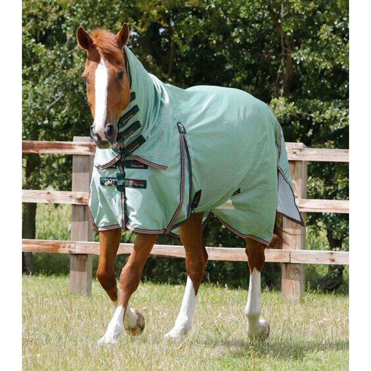 Premier Equine Combo Mesh Air insektdækken - Mint Grøn