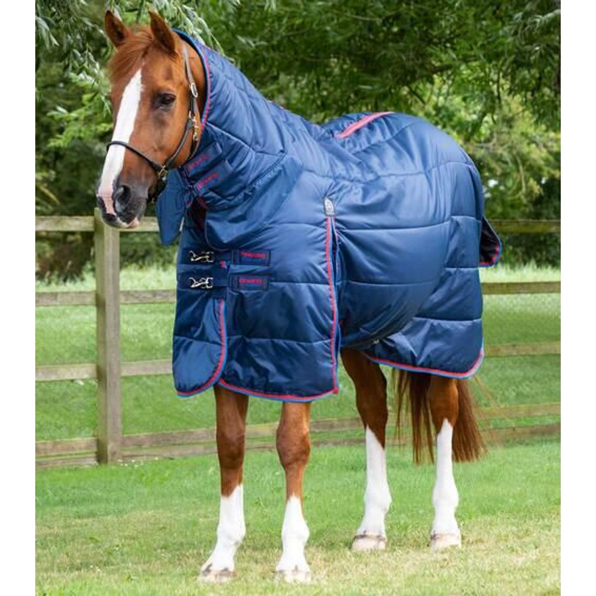 Premier Equine Combo stald dækken 200g - Navy, 5,9" (125cm)