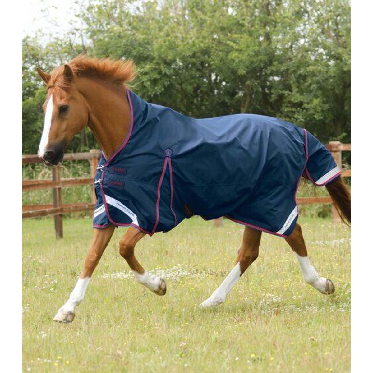 Premier Equine Buster Hardy Turnout dækken 0g - Wither Pressure Relief - 5,6 (125cm), Navy