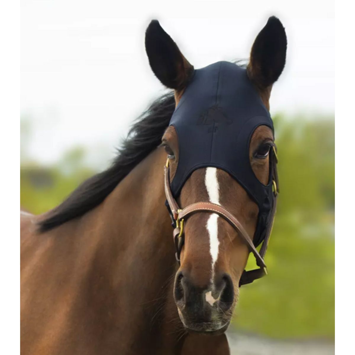 Fenwick Equestrian Liquid Titanium® maske - Velcro lukning - XL