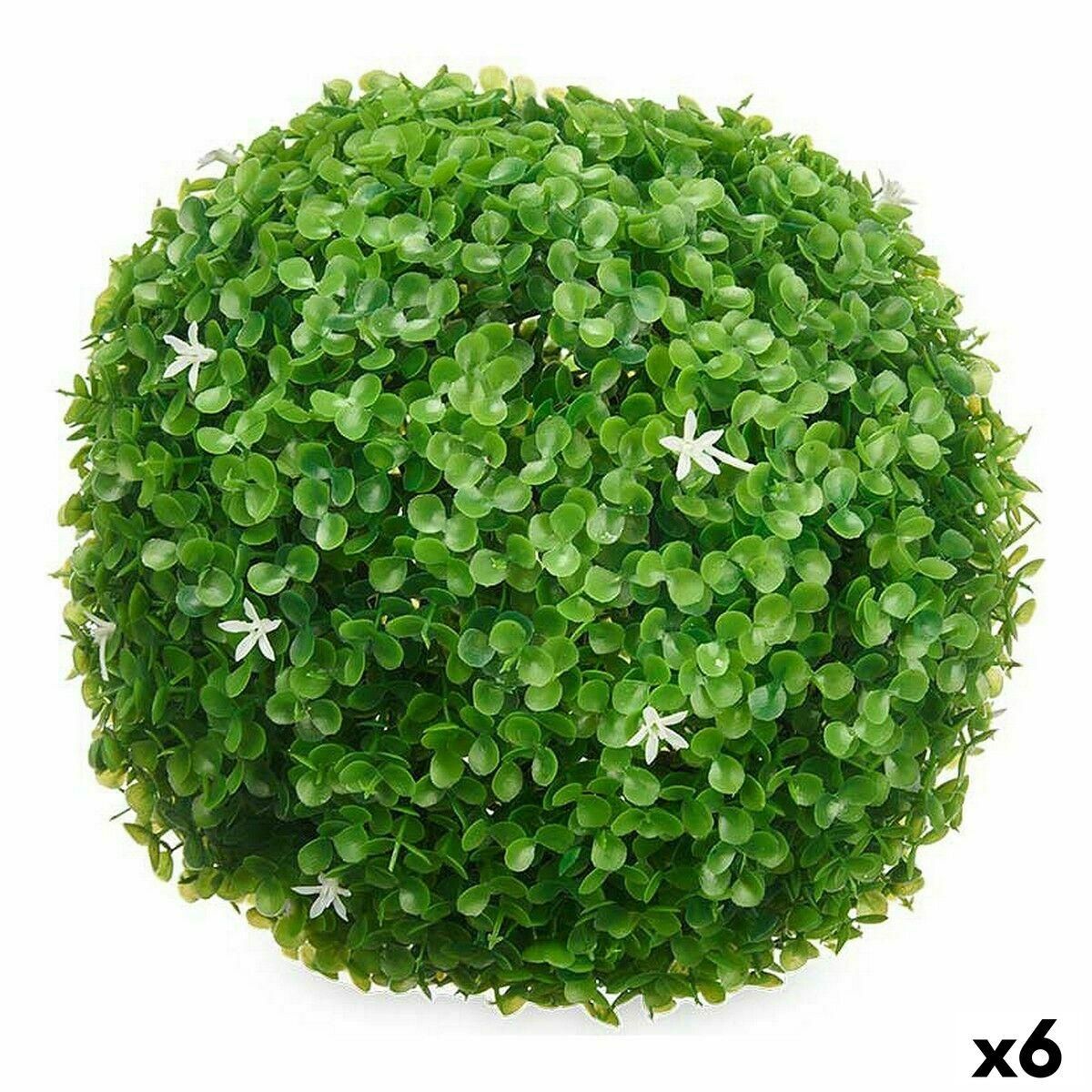 Dekorativ plante Ark Cvetlice Krogla Plastik 27 x 27 x 27 cm (6 enheder)