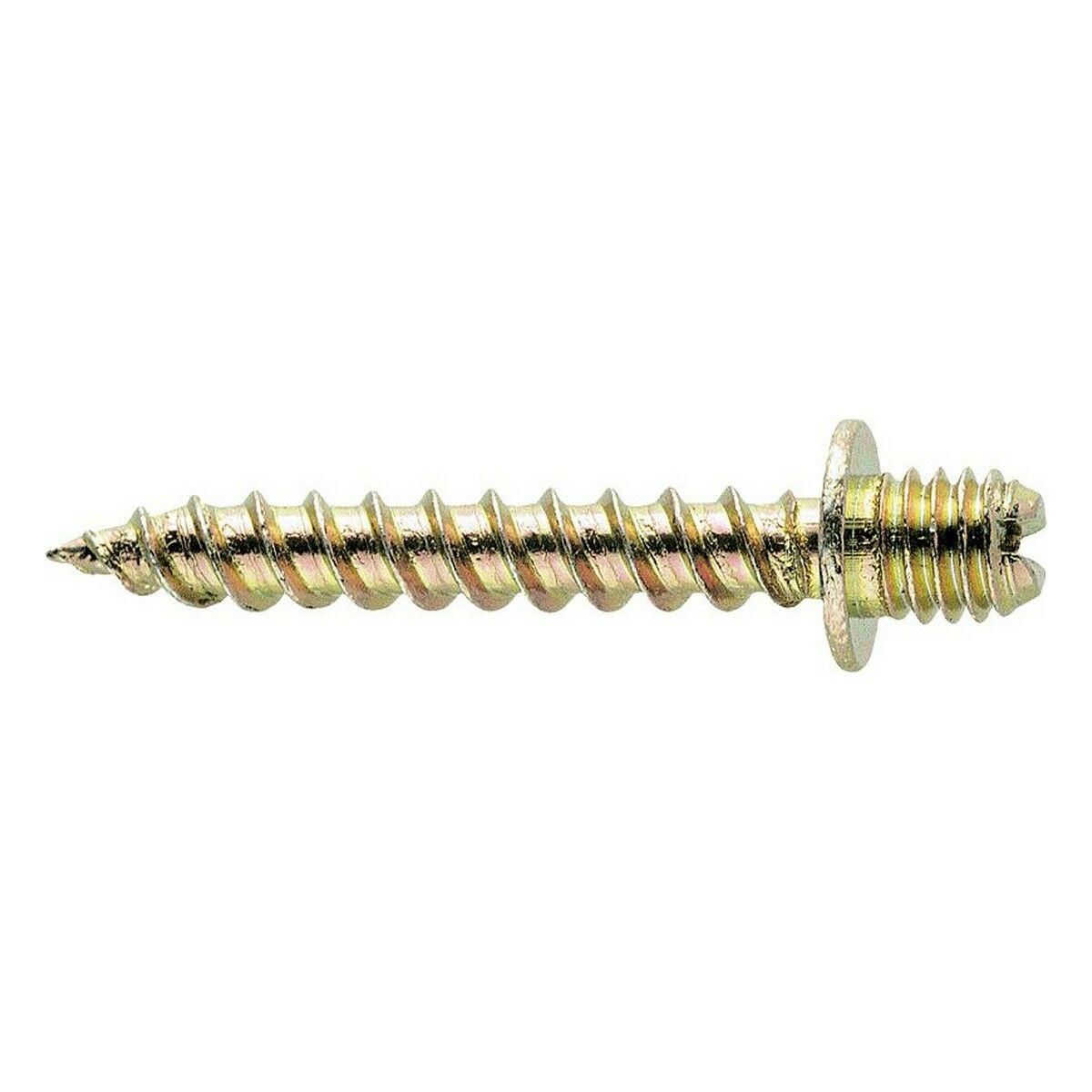 Skrue CELO 100 enheder (M6 x 30 mm) (6 x 30 mm)