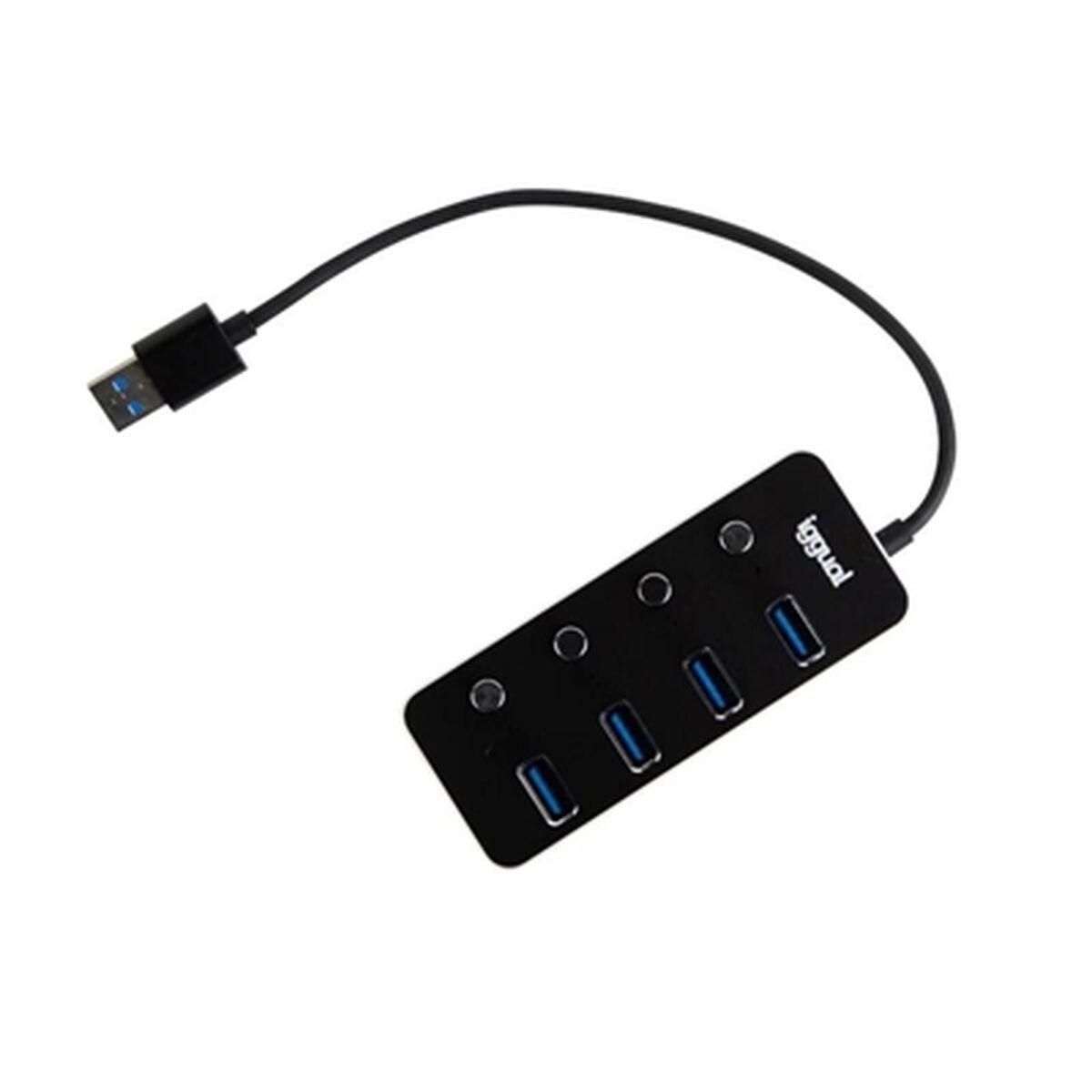 USB Hub iggual IGG318478