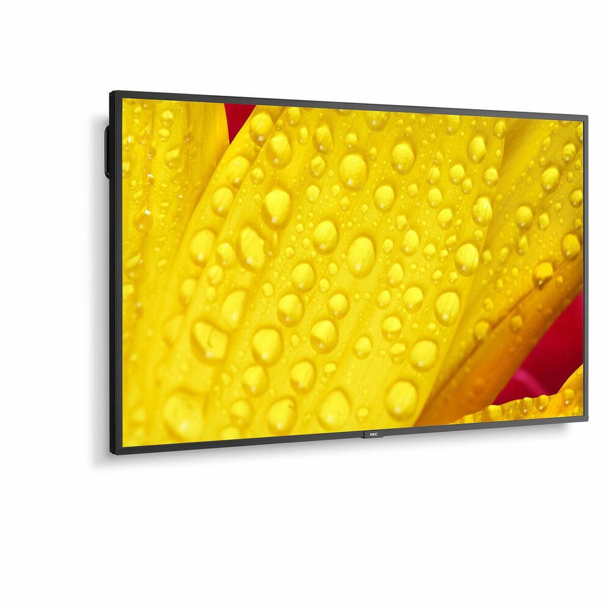 Skærm NEC 60005048 43" 4K Ultra HD LED 43" IPS 50-60 Hz