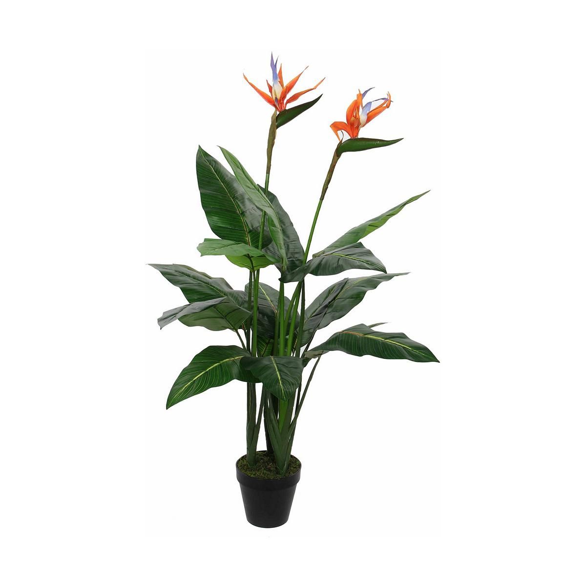 Dekorativ plante Mica Decorations (60 x 110 cm)