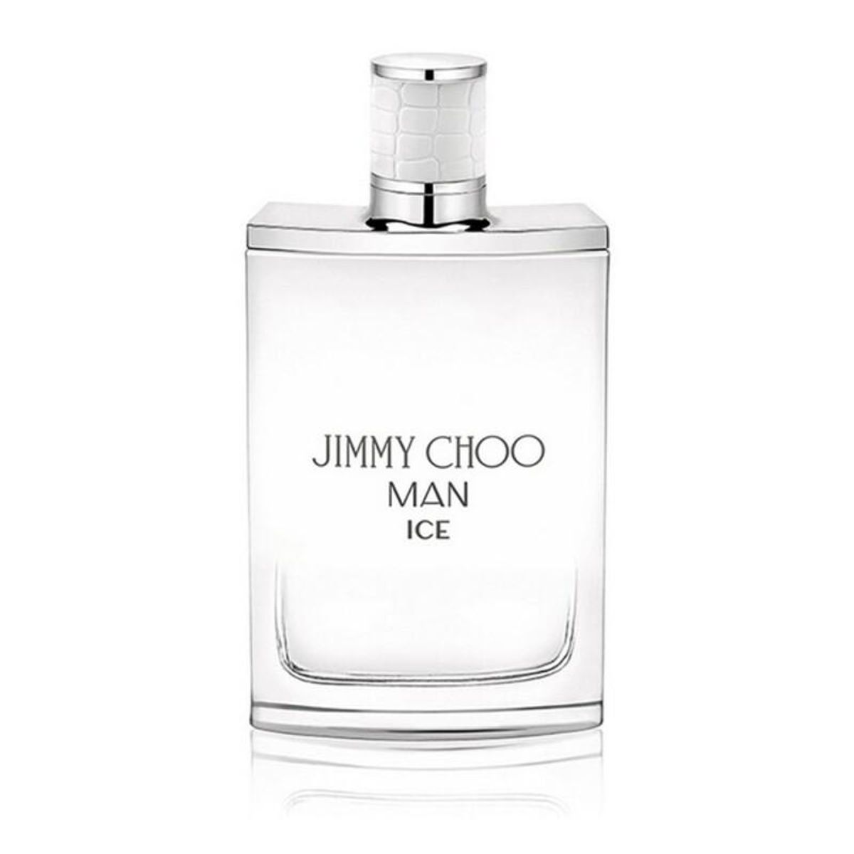 Herreparfume Jimmy Choo Man EDT 100 ml