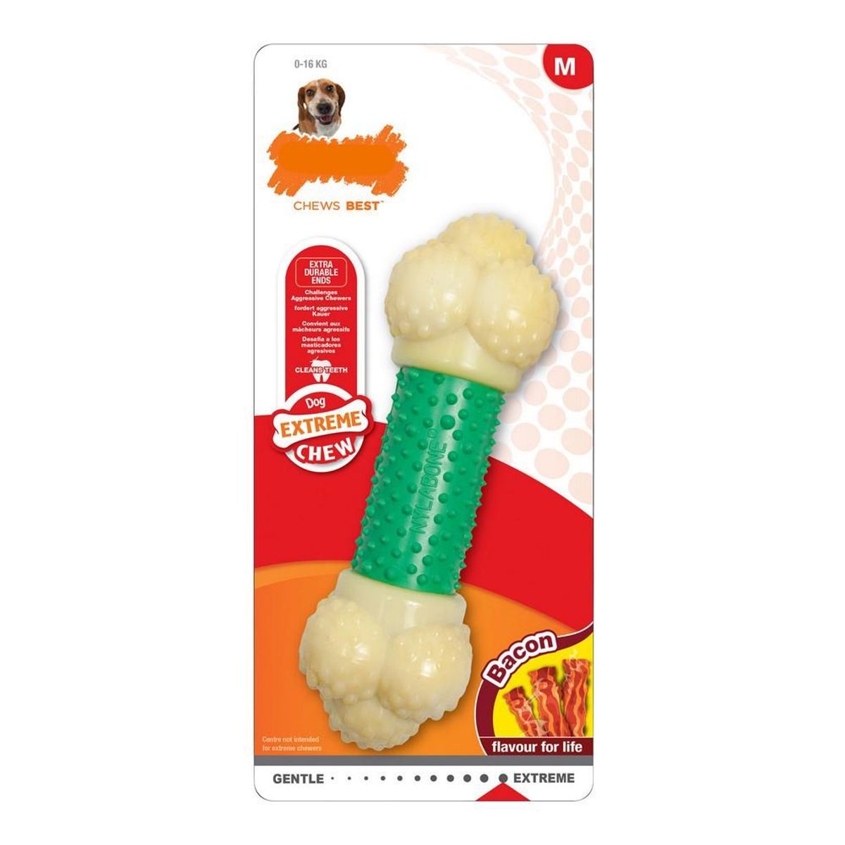 Hund Bidering Nylabone Extreme Chew Double Action Bacon Mint 2-i-1 Gummi Størrelse S Nylon