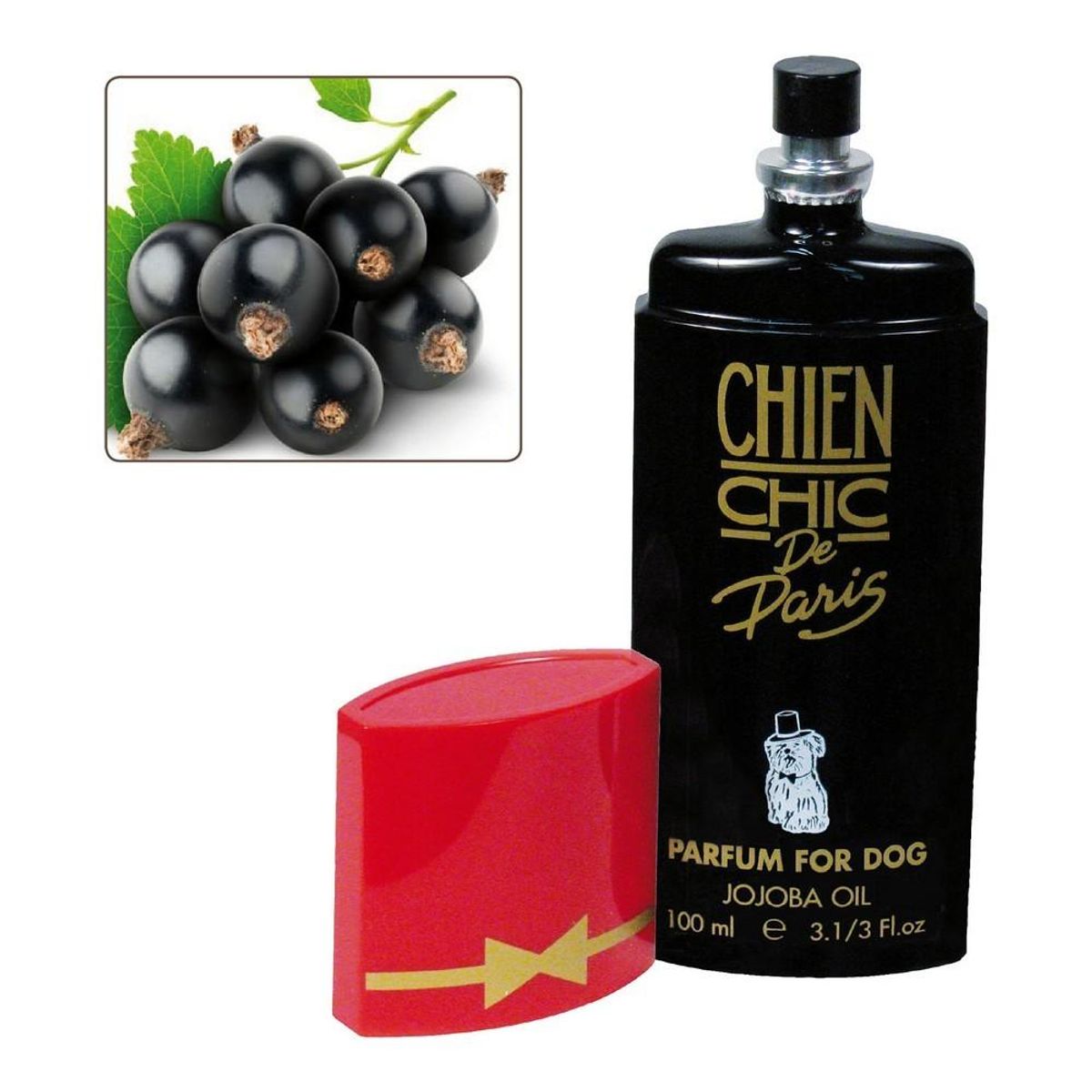 Parfume til kæledyr Chien Chic Hund Solbær (100 ml)