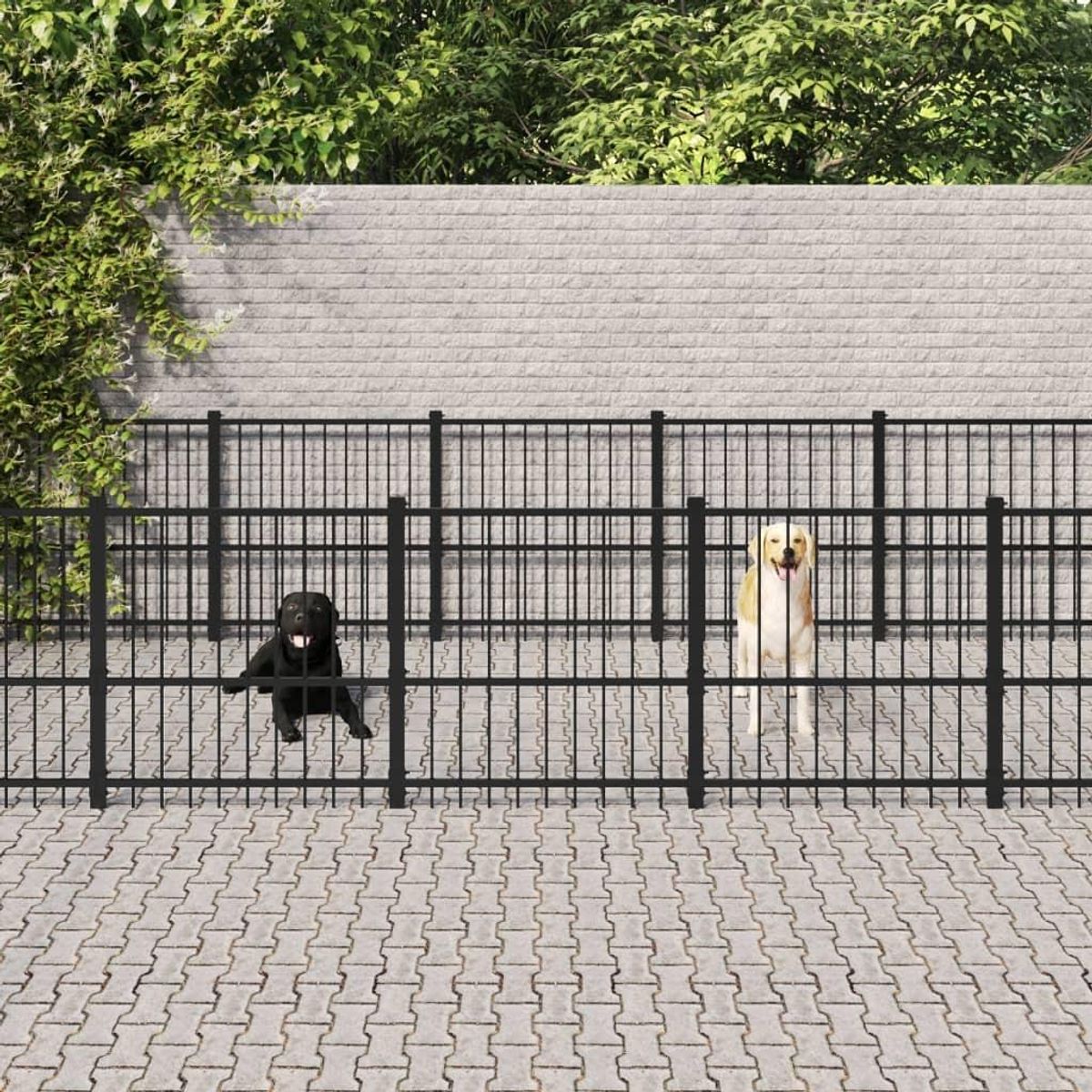 Udendørs hundegård 22,58 m² stål