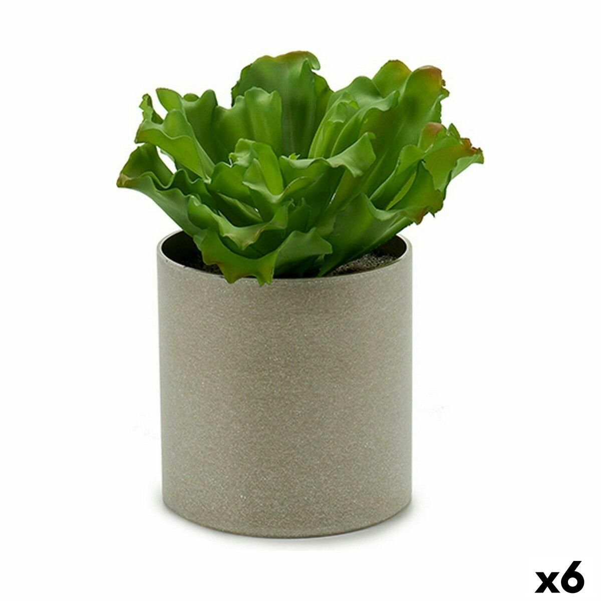 Dekorativ plante 20 x 25 x 20 cm (6 enheder)