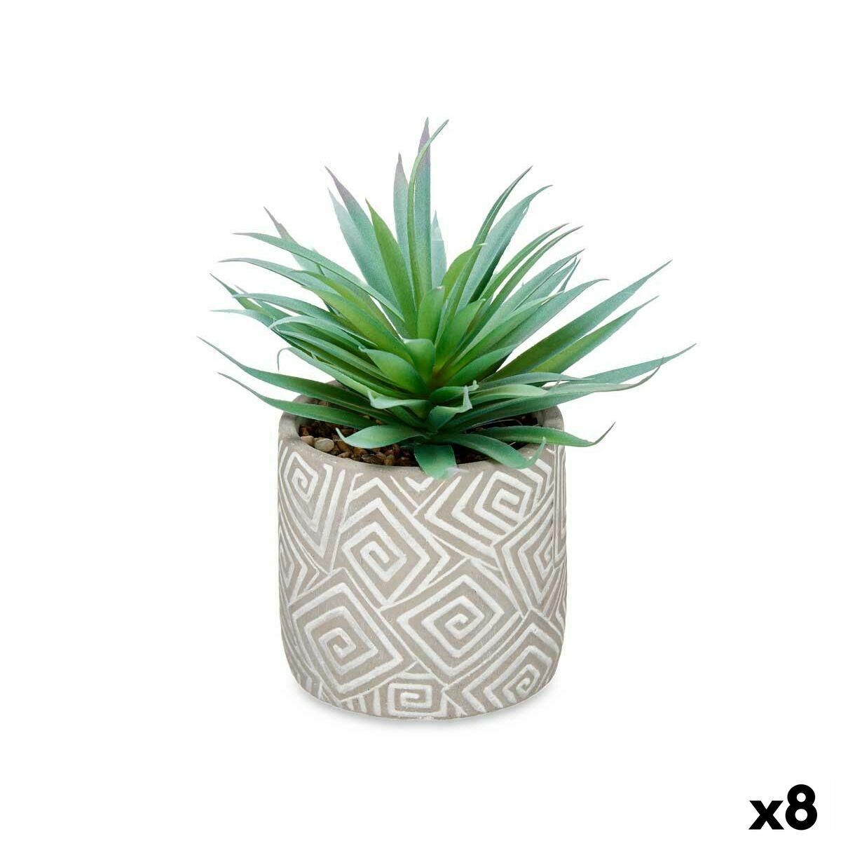 Dekorativ plante Sukkulent Træ Plastik 17 x 21 x 17 cm (8 enheder)