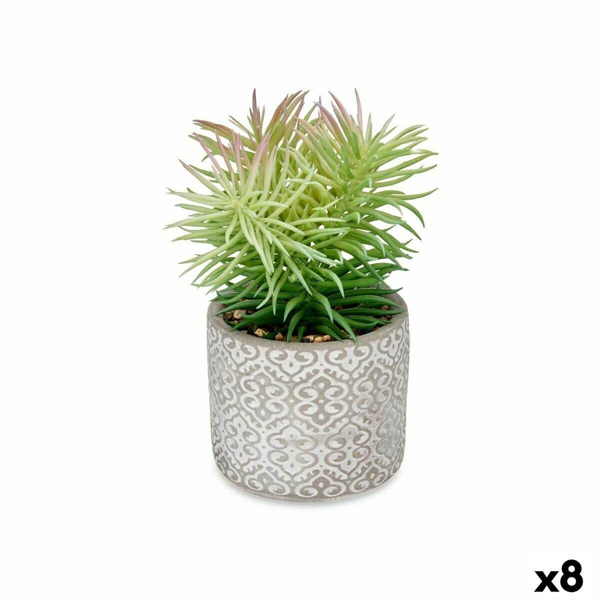 Dekorativ plante Sukkulent Træ Plastik 12 x 22 x 12 cm (8 enheder)