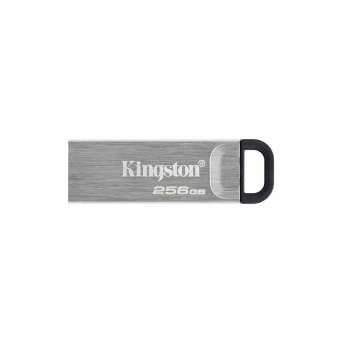 USB stick Kingston DTKN/256GB USB 3.2 Sølvfarvet Sort 256 GB