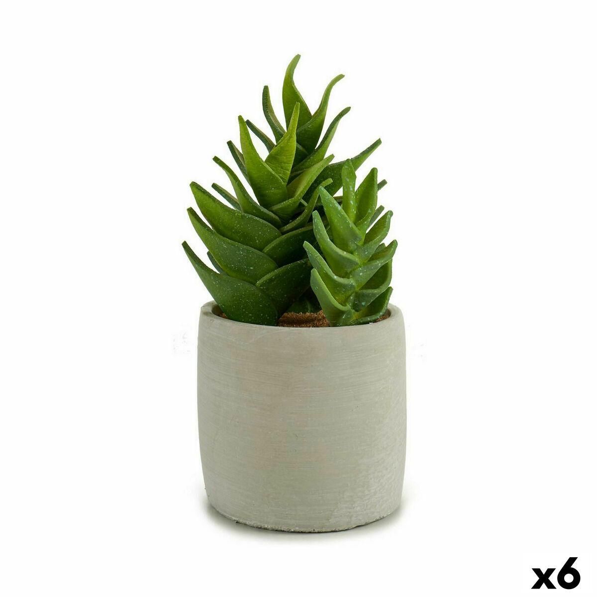 Dekorativ plante Sukkulent Plastik 12 x 24 x 12 cm (6 enheder)