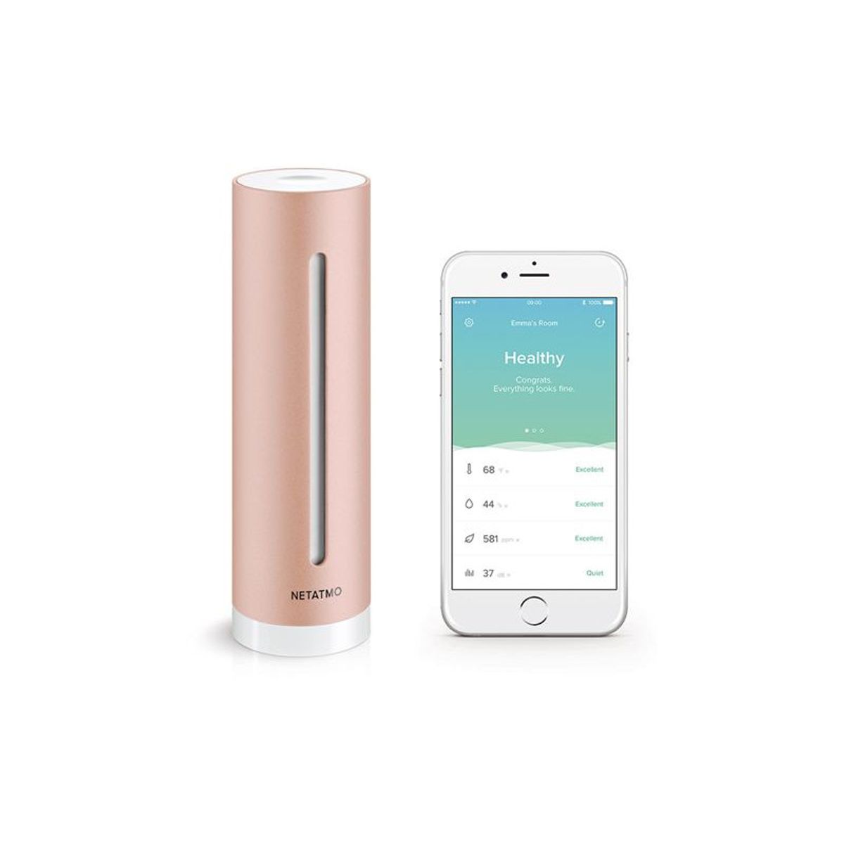 Netatmo Healthy Home Coach Klima måler