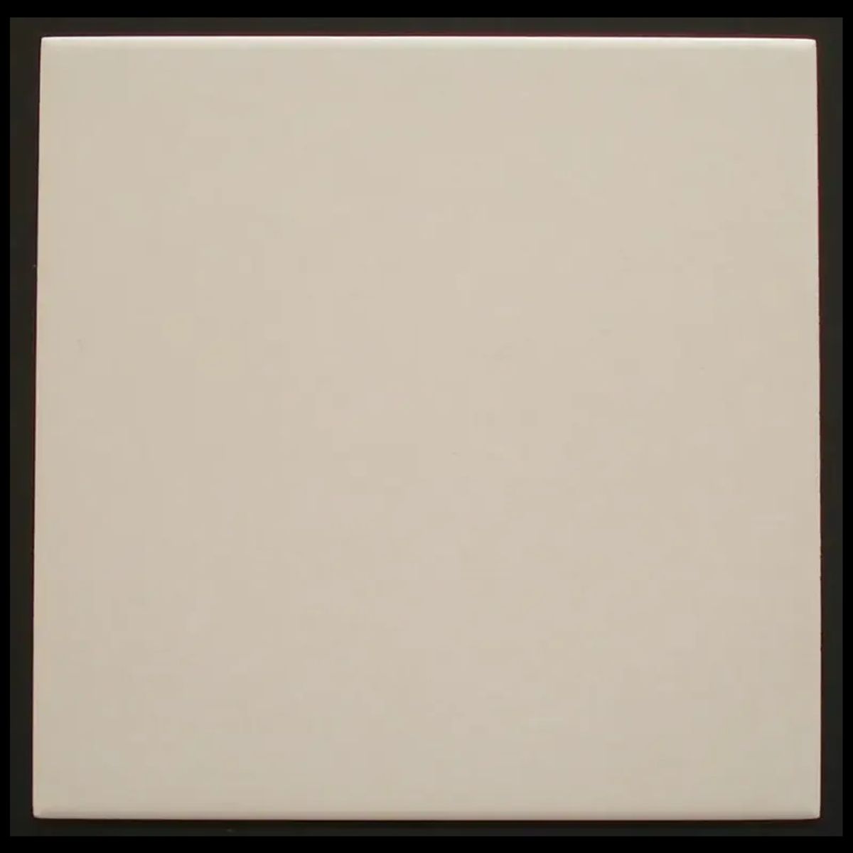 Taurus Super White 10 S 198x198mm