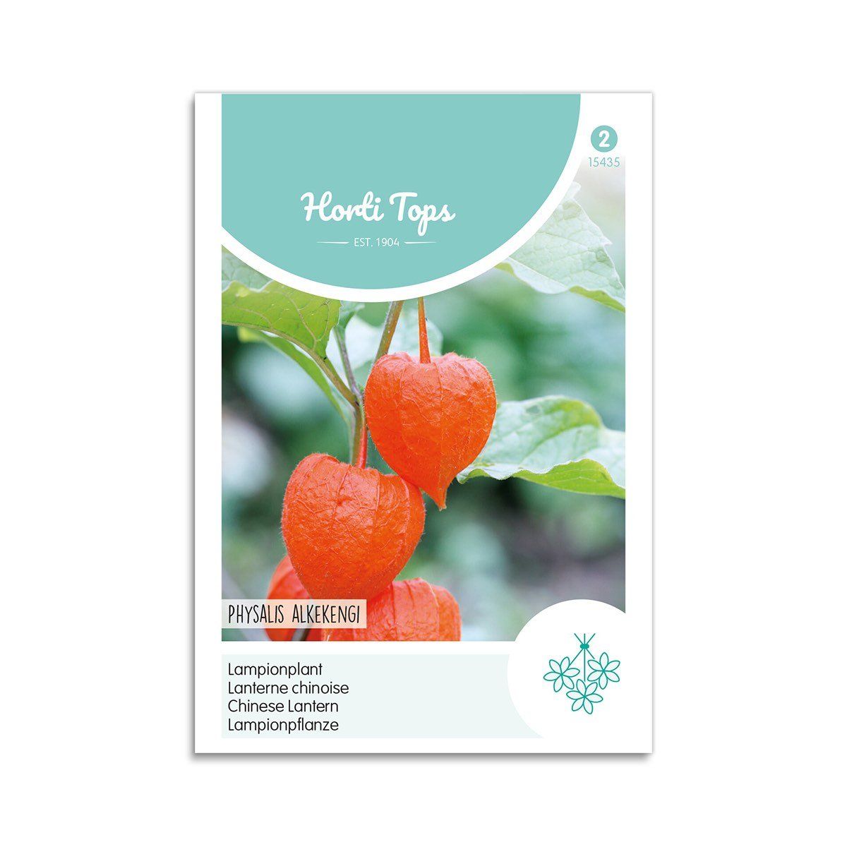 Japansk Lygte frø - Horti Tops