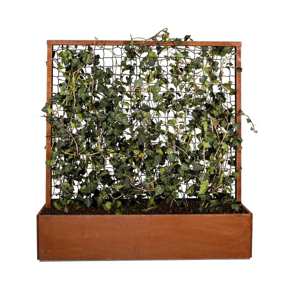 Land Modern Plantekasse med espalier i Corten - 140 cm