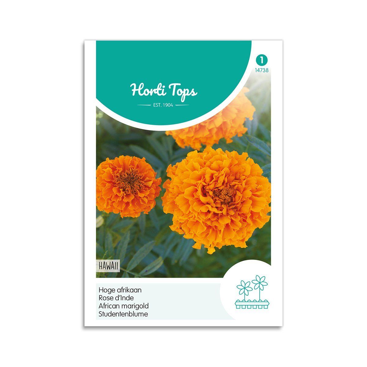 Tagetes frø "Hawaii" - Horti Tops