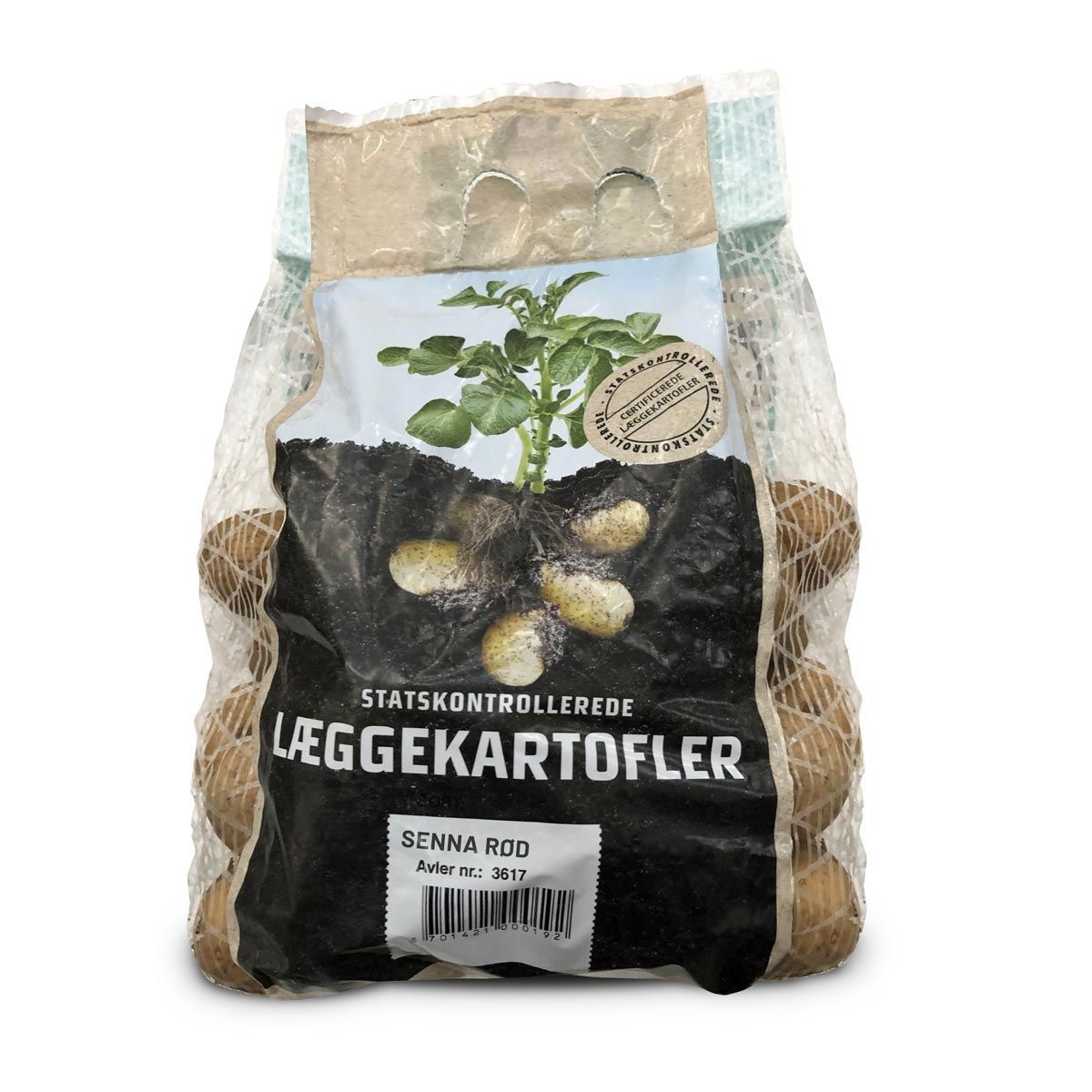 Senna Rød læggekartofler - 1,5 kg. (middel)