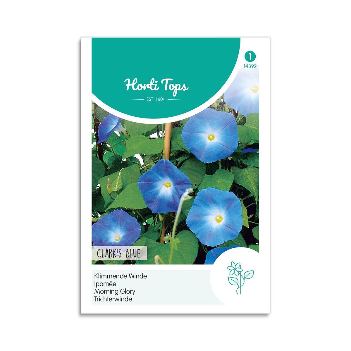 Pragtsnerle frø "Clark´s Blue" - Horti Tops