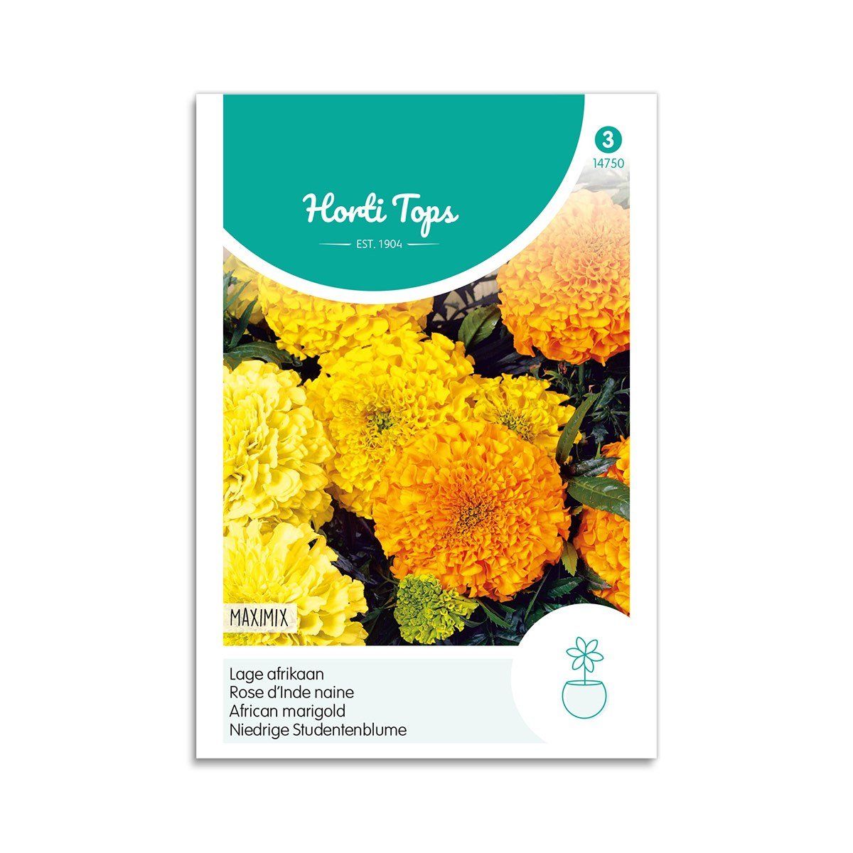 Tagetes frø "Maximix" - Horti Tops