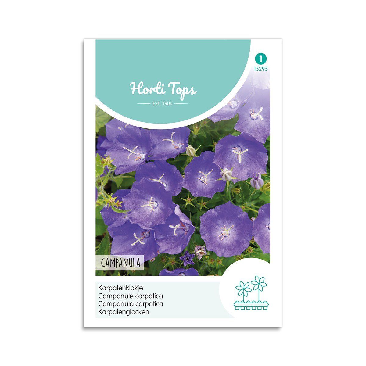 Karpaterklokke frø "Campanula" - Horti Tops