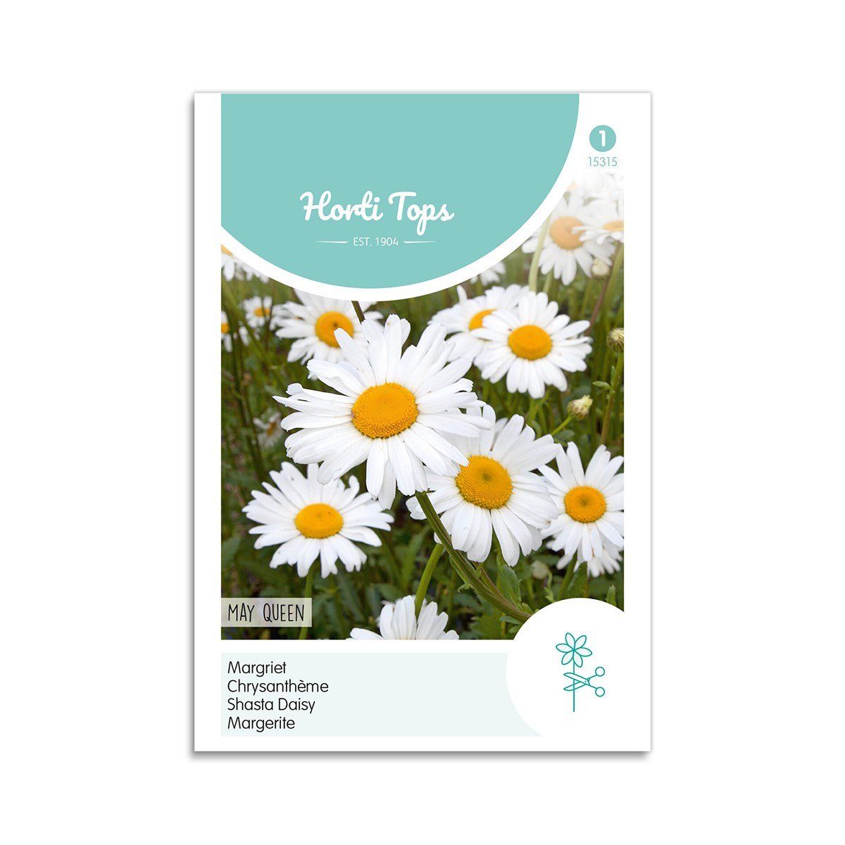 Marguerit frø "May Queen" - Horti Tops