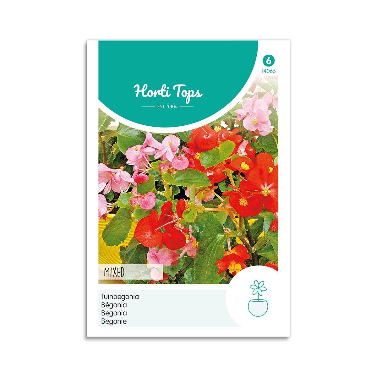 Begonie frø mix - Horti Tops