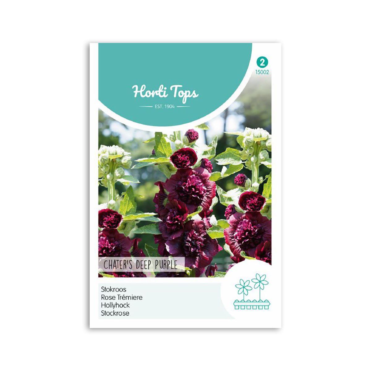 Stokrose frø "Chaters Deep Purple" - Horti Tops