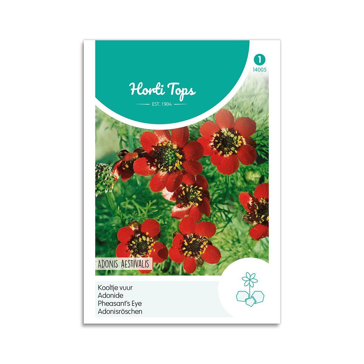 Sommeradonis frø - Horti Tops