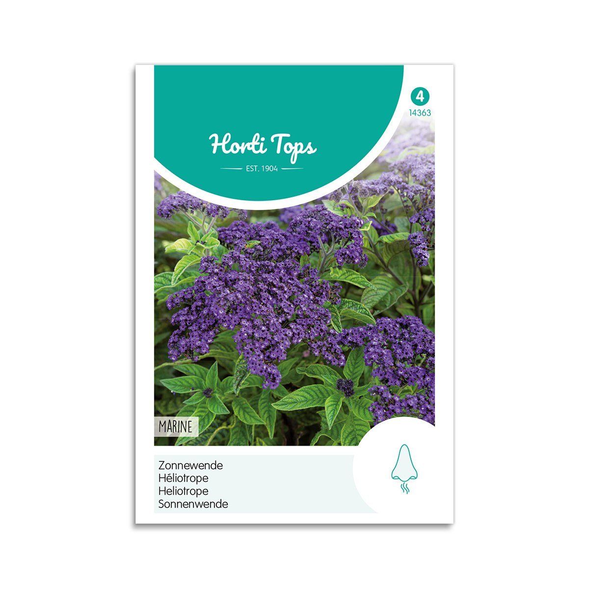 Heliotrop frø "Marine" - Horti Tops