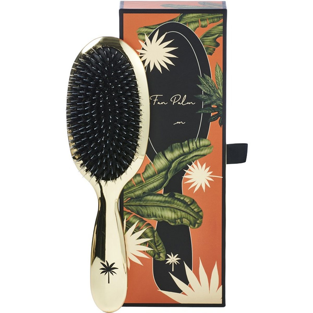 Fan Palm Hair Brush Medium - Hollywood