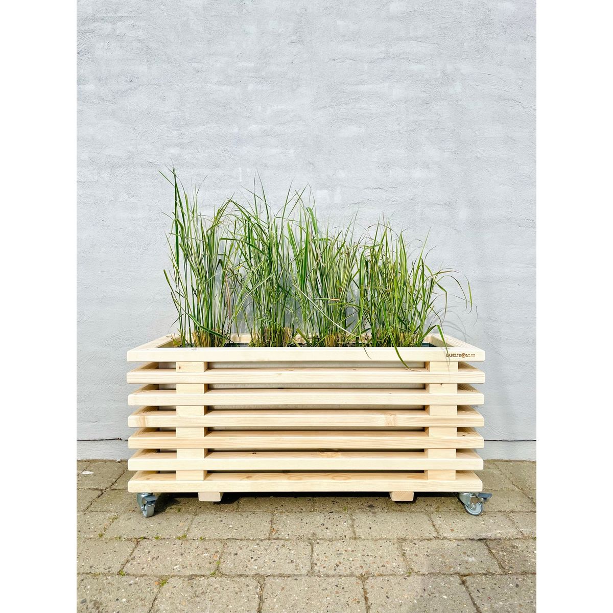 Luxus Plantekasse af Nye Traller | 95 cm / 56 cm (9 lægter)