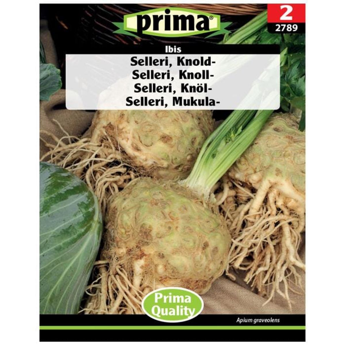 Prima - ® Selleri, Knold