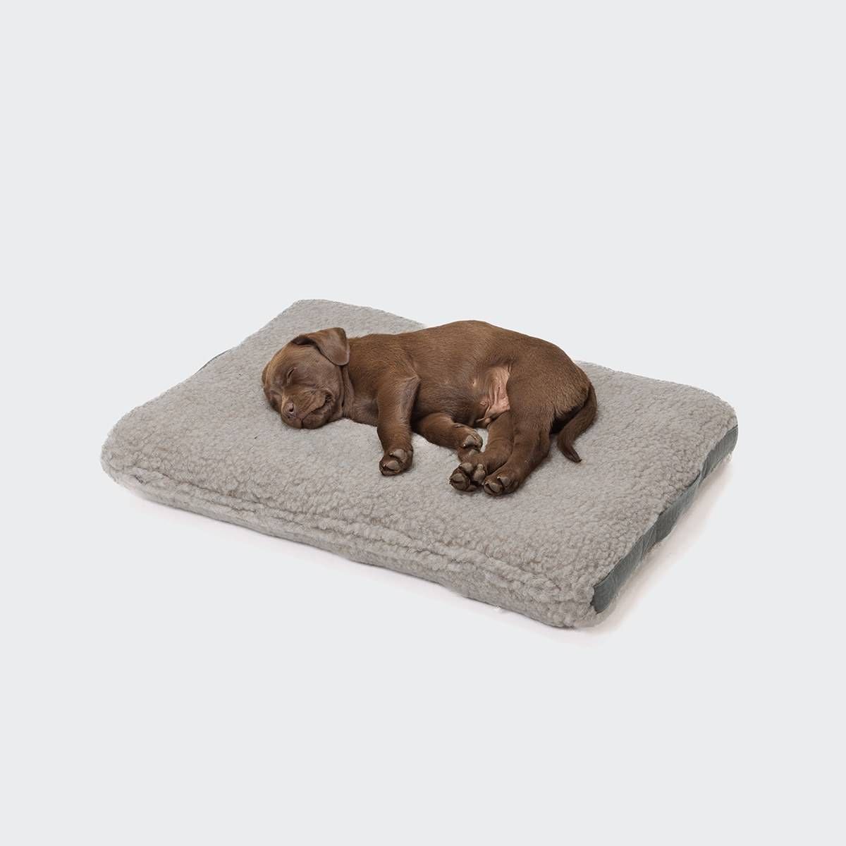 Hundeseng Siesta Teddy, en fluffy drøm! - M (75x55x10cm)